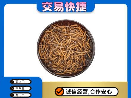 白碱滩区高价回收散虫草